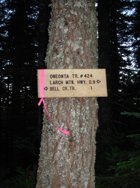 7.25.06 Larch Mountain 023 